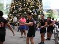 rugbypasses24