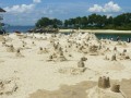 Most Number Of Sandcastles Built