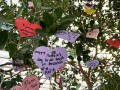 230618-wishesontree-01