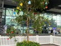 230618-wishesontree-09