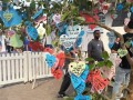 230618-wishesontree-14