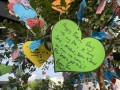 230618-wishesontree-19