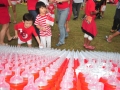 Largest National Flag Made Of Milk Bottles