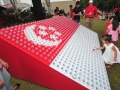 Largest National Flag Made Of Milk Bottles