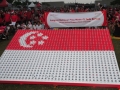 Largest National Flag Made Of Milk Bottles