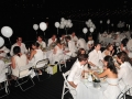 Largest Outdoor Pop-Up Picnic