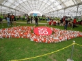 Largest Singapore Map Made Of Plastic Bags Flowers