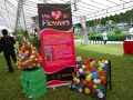 Largest Singapore Map Made Of Plastic Bags Flowers