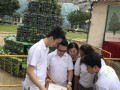 Tallest Christmas Tree Made Of Bottled Plants (13)
