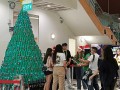 231209-xmastree-cardboardrolls-06