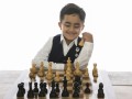 201204-nivaan-chess01