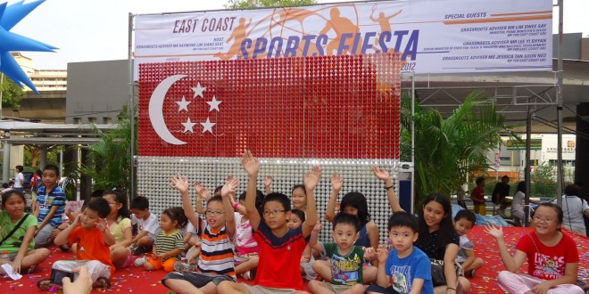 Largest National Flag Made Of Ping Pong Balls