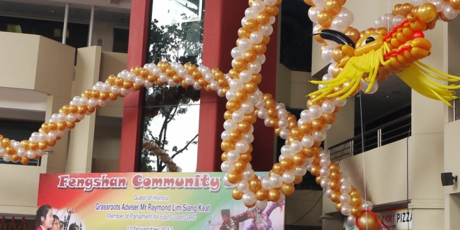 Longest Balloon Sculpture