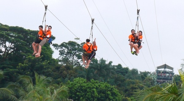 Most Number Of Flying Fox Rides In 5 Hr
