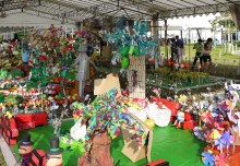 Largest Garden Made of Recycled Materials