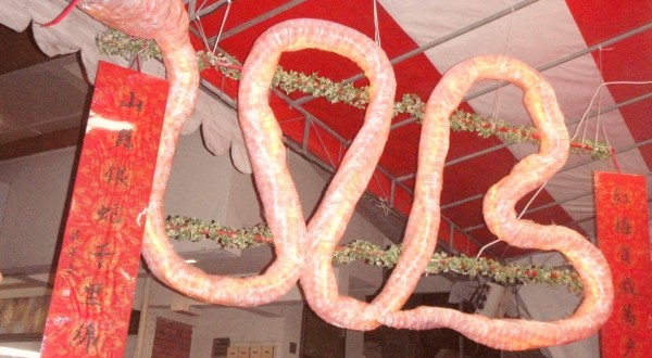 Longest Sculpture Made Of Cultured Milk Bottles
