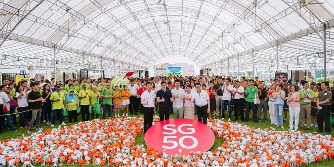 Largest Singapore Map Made Of Plastic Bags Flowers
