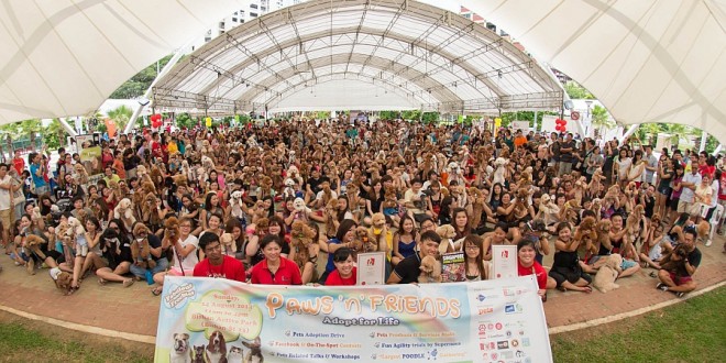 Largest Poodle Gathering