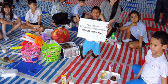 Largest Picnic Mat
