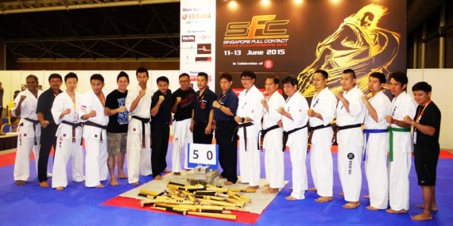 Most Number Of Baseball Bats Broken By Karate Kicks