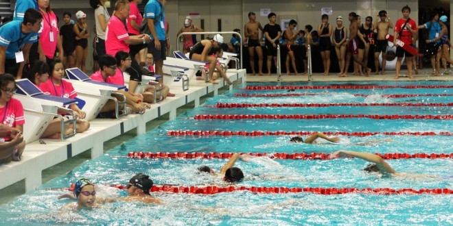 Most Number Of Laps Swum in 1 Hour