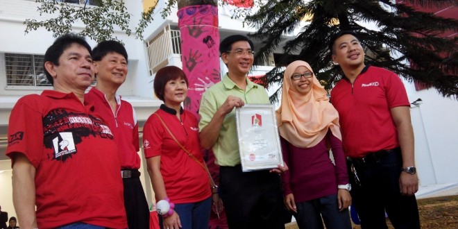 Largest Display Of Wrapped Trees