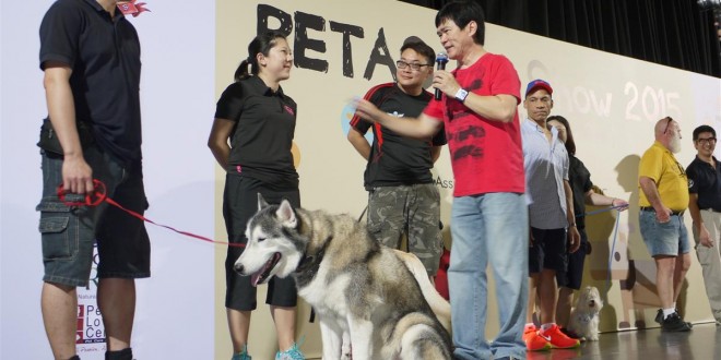 Largest Dog Obedience Lesson