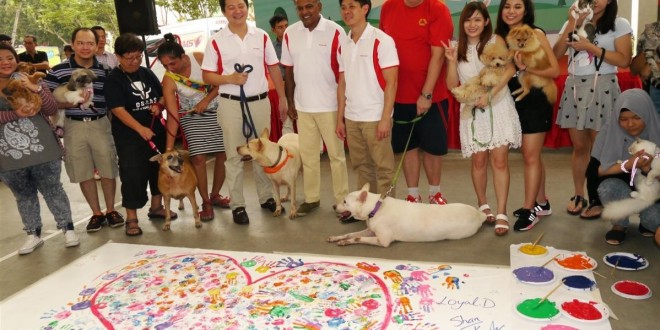 Largest Montage Of Palmprints Made By Pets And Their Owners