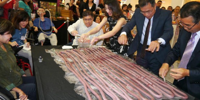 Longest Tteok