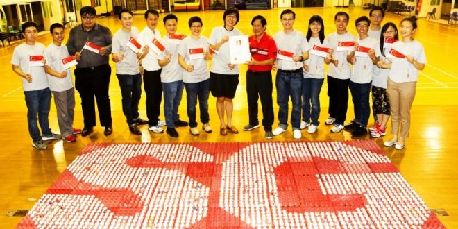 Largest Display Of Handpainted Ping Pong Balls