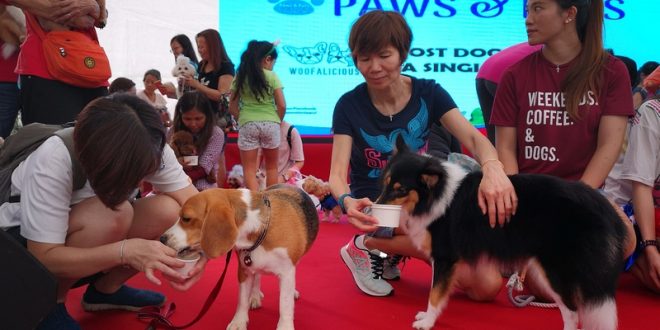 Most Number Of Dogs Eating At The Same Time
