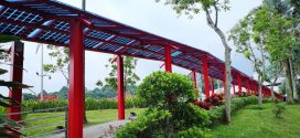 Longest Sheltered Walkway Fitted With Solar Panels