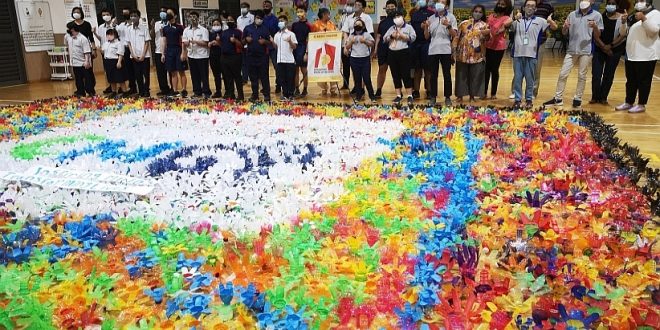 Largest Display Of Plastic Bottle Flowers