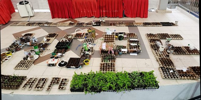 Largest Display Of Microgreens Planted Using Recycled Materials
