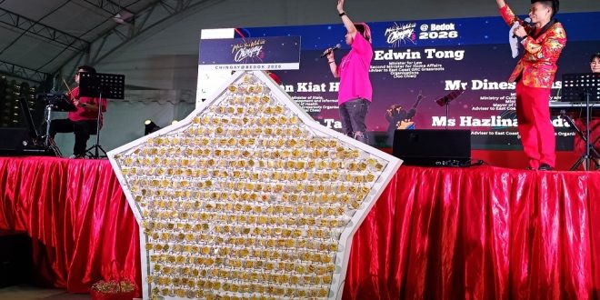 Largest Display Of Wishes On Baubles On A Star Structure