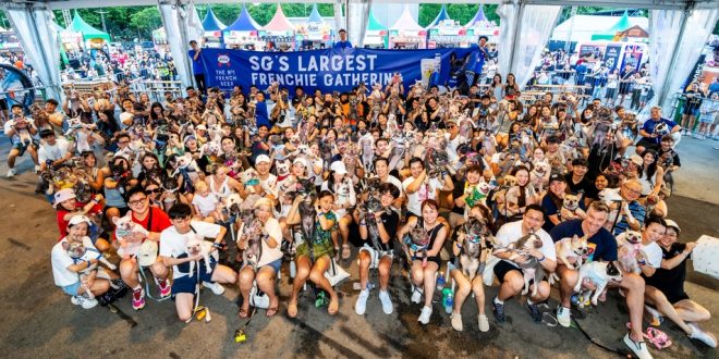Largest Gathering Of Frenchies