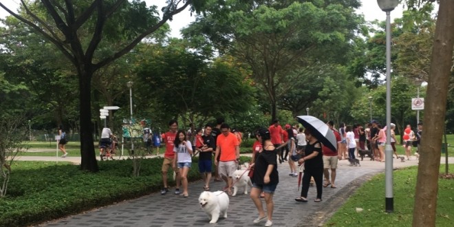 Longest Dog Walk Line