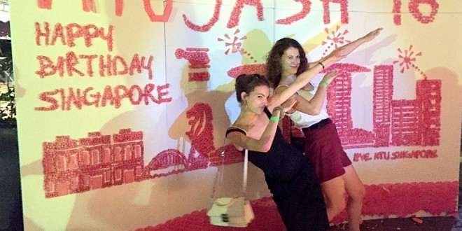 Largest Collage Made of Cupcake Liners